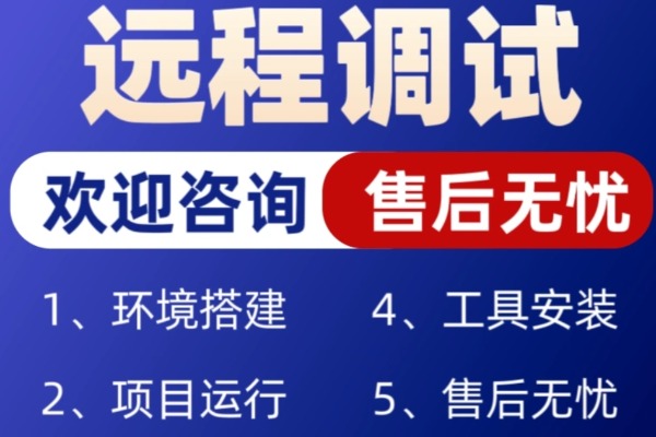 远程协助安装运行项目安装运行环境远程调试代码